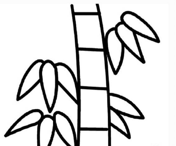 植物简笔画教程:一步一步教你画清雅脱俗的竹子,快收藏吧!
