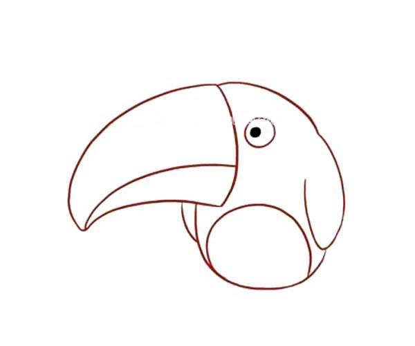 大嘴鸟的简笔画图片