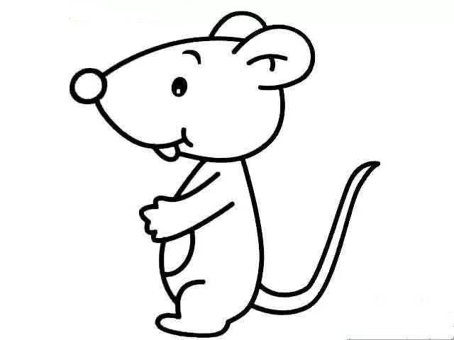 长尾鼠简笔画图片