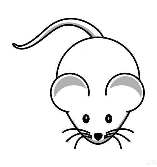 老鼠简笔画4张各种老鼠简笔画,老师们玩起来