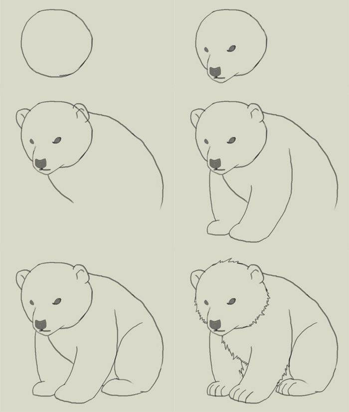 熊图画简单图片大全图片