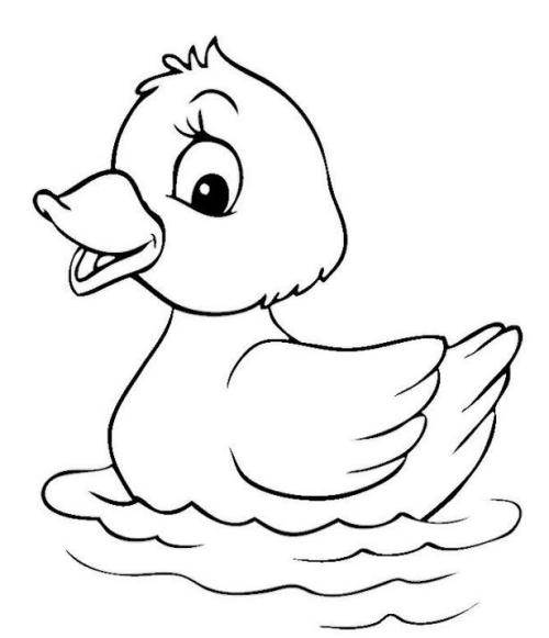 鸭子的画法 小鸭子图片