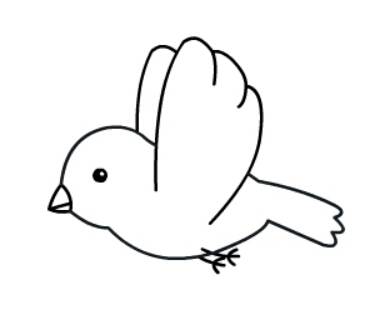 一年级简笔画小鸟图片