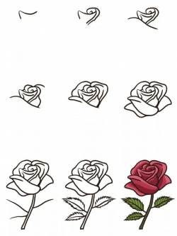 一束玫瑰花简笔画步骤图片