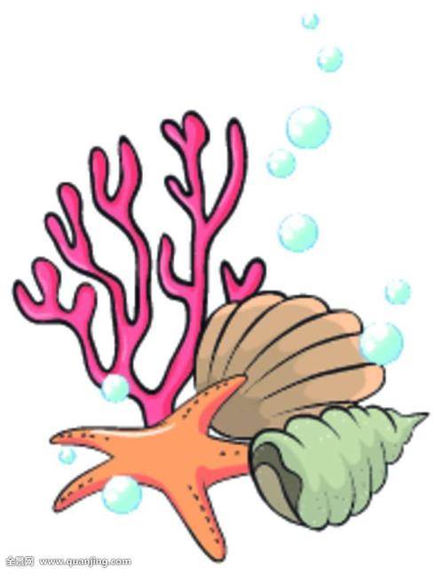 珊瑚简笔画带颜色图片