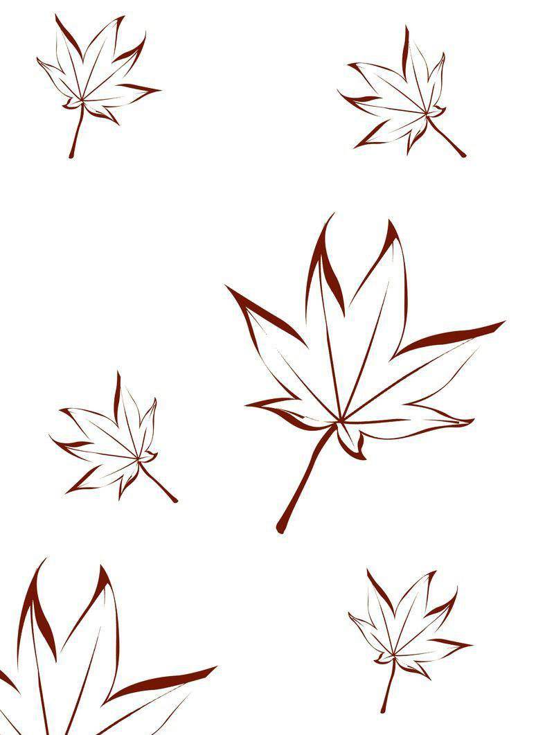 怎样画枫叶更简单漂亮图片