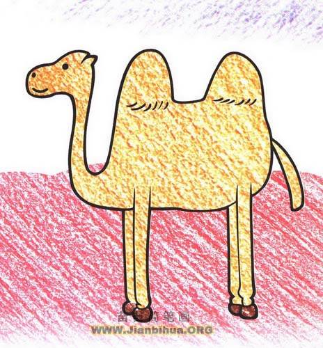 骆驼图片简笔画彩色图片