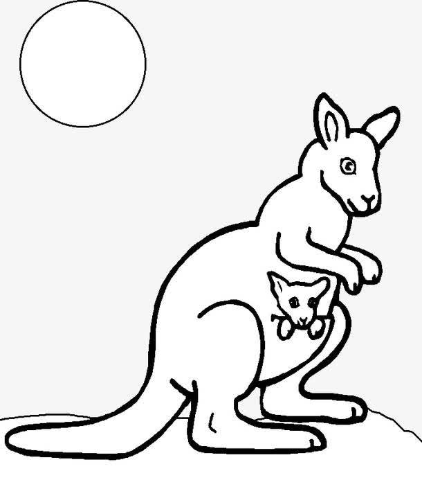 袋鼠怎么画彩铅图片