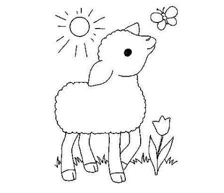 幼儿简笔画小羊图片