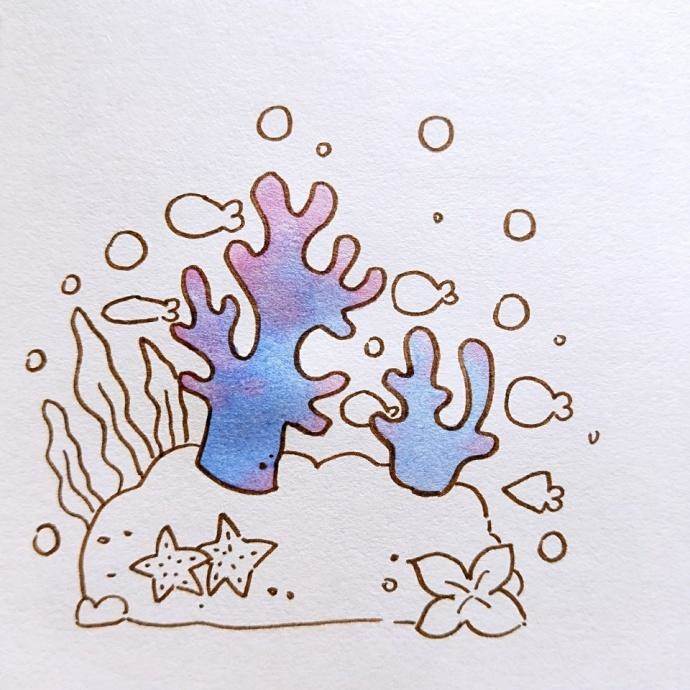 儿童画珊瑚礁简笔画图片