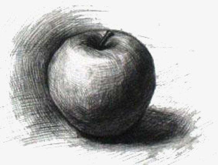 素描苹果素描苹果图片