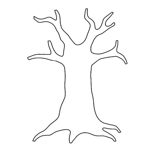 树干简笔画 简单图片