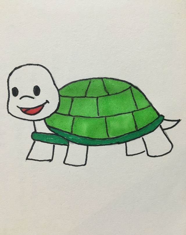 乌龟妈妈简笔画彩色图片