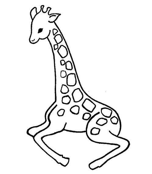 矮的长颈鹿怎么画图片