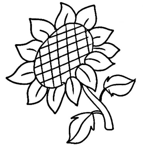 向日葵的简笔画 向日葵的简笔画简单又漂亮