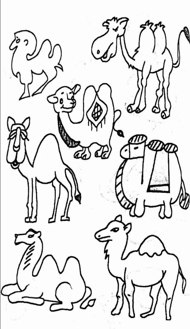 骆驼简笔画 画法图片