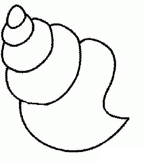 海螺儿童画简笔画图片
