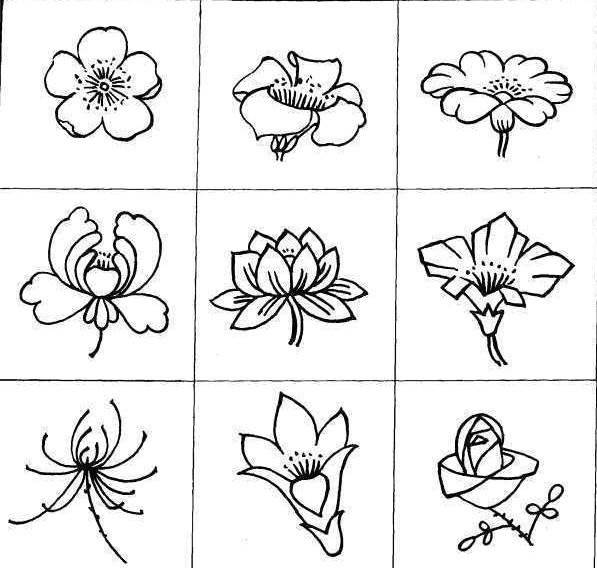 简笔画各种花的画法图片