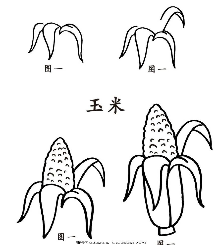 玉米的简易画法步骤图片