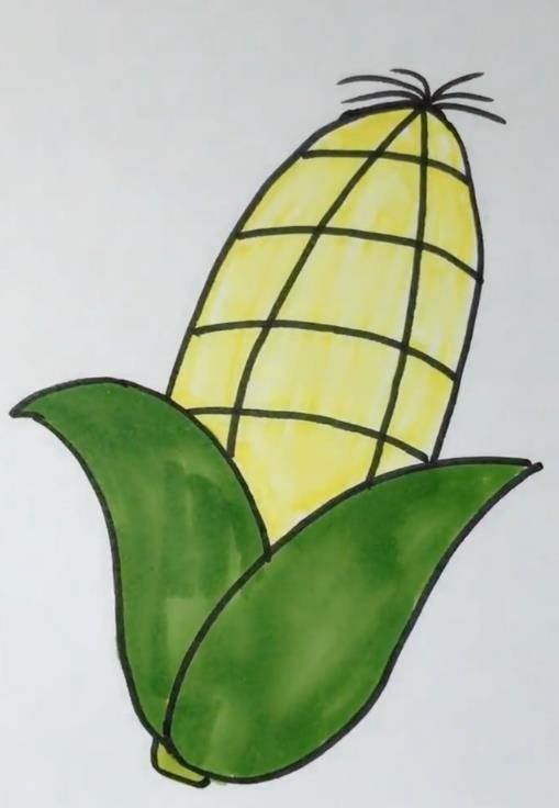 剥了皮的玉米简笔画图片
