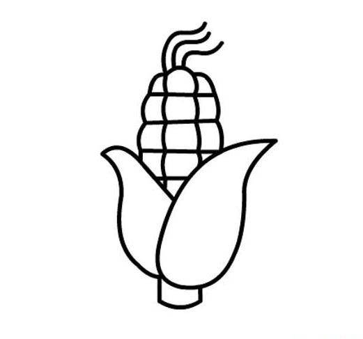 玉米简笔画简单图片