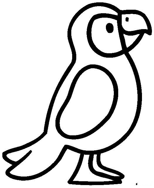 小鹦鹉的简笔画怎么画图片