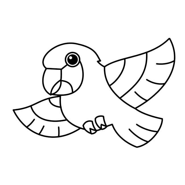 鹦鹉的简笔画 少儿图片