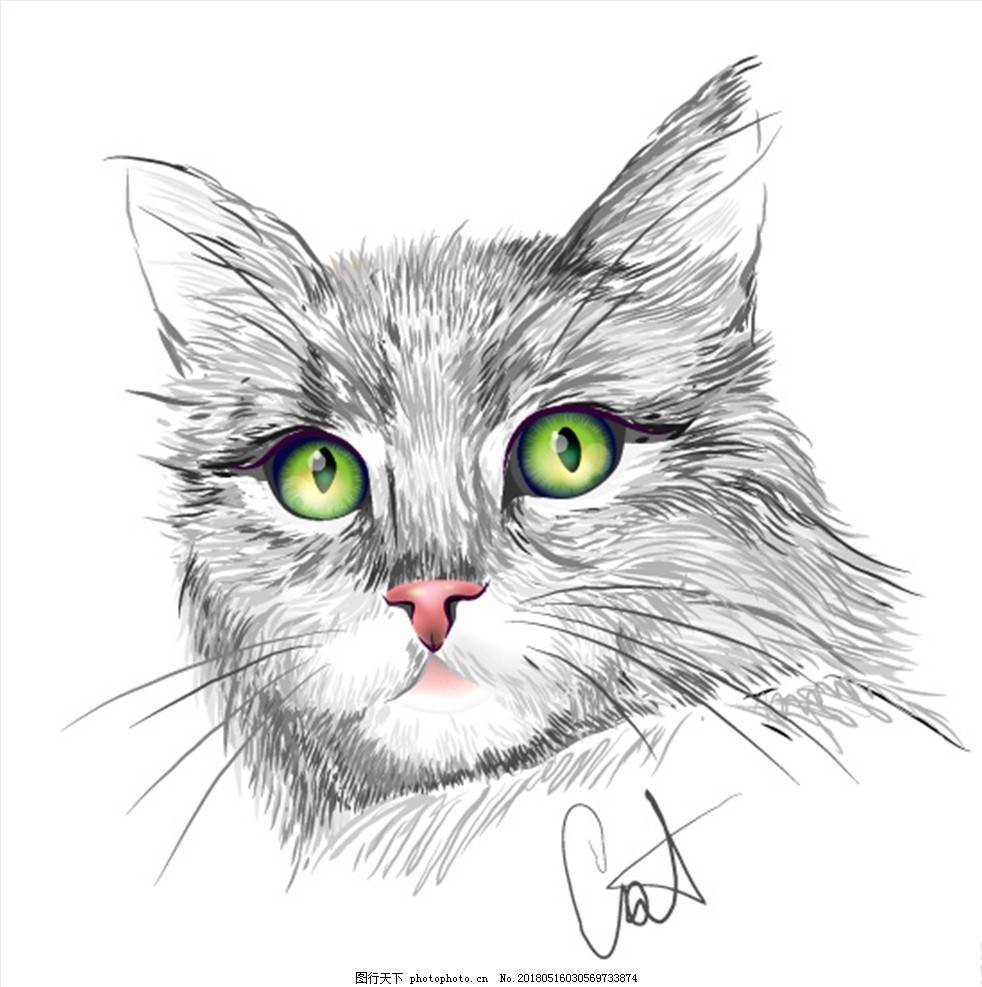 可爱的素描猫作品 8月最新素描猫的画法步骤