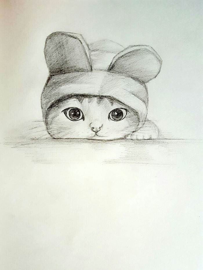 素描,猫咪小猫素描画法步骤图解