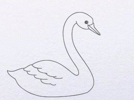 天鹅的简笔画鹅怎么画简笔画图片