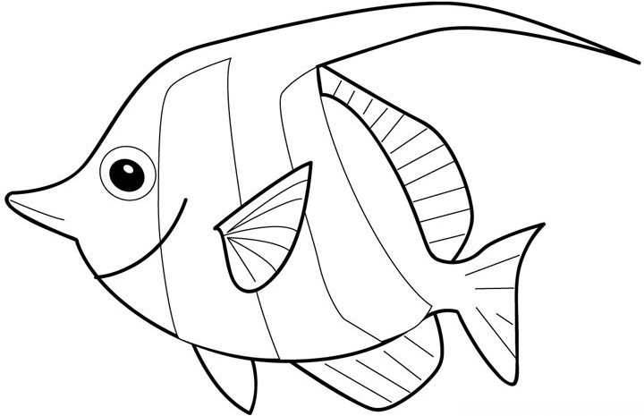 游动的鱼 简笔画图片