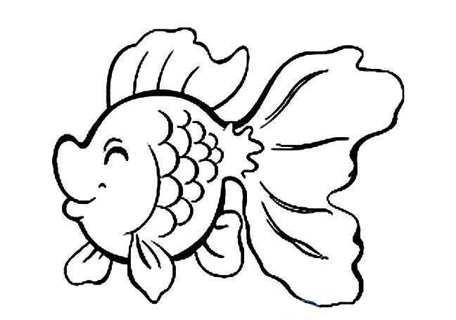 金鱼的简笔画卡通图片