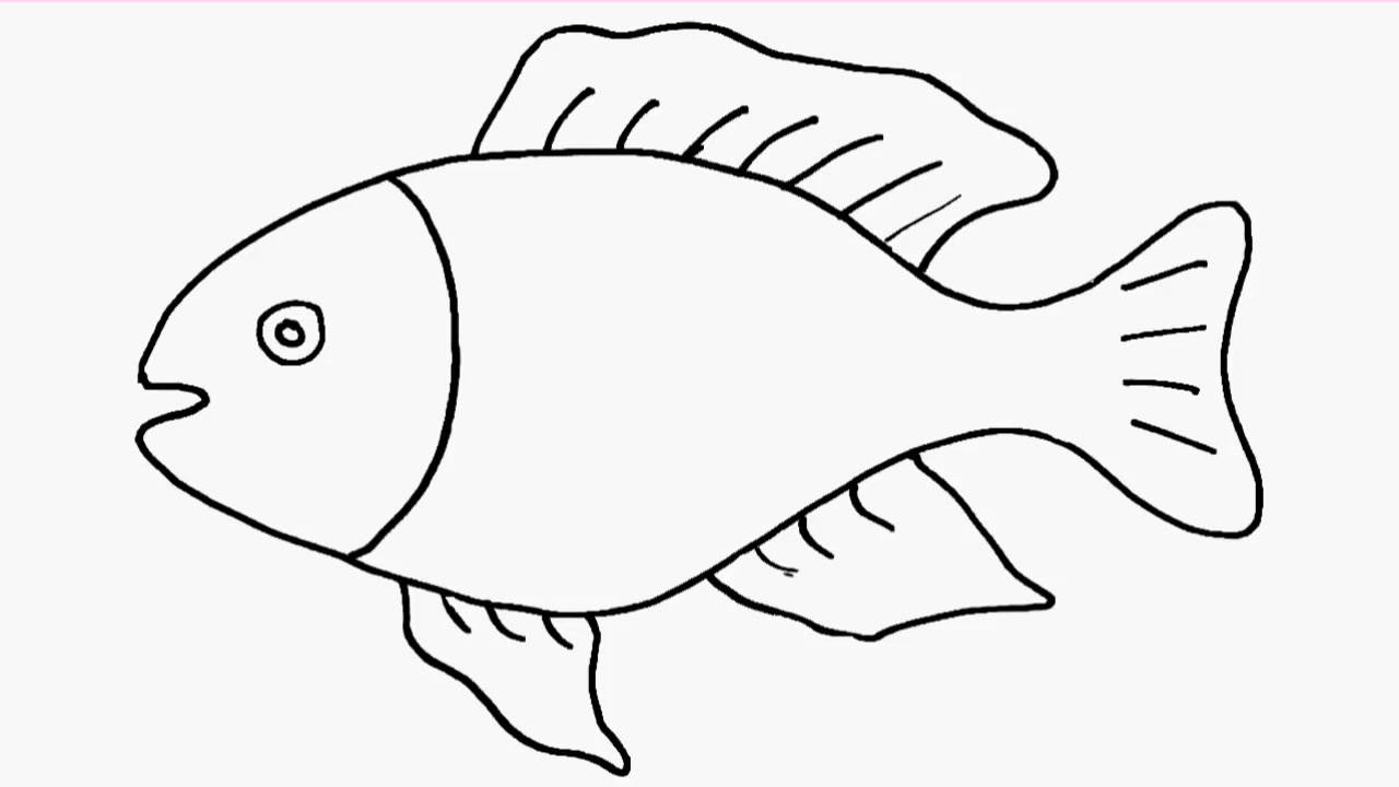 鱼简单又好看的鱼怎么画,各种各样的鱼简笔画图片大全67儿童简笔画
