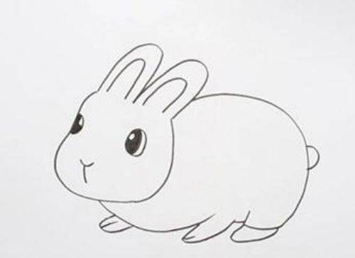 小白兔动物简笔画大全图片