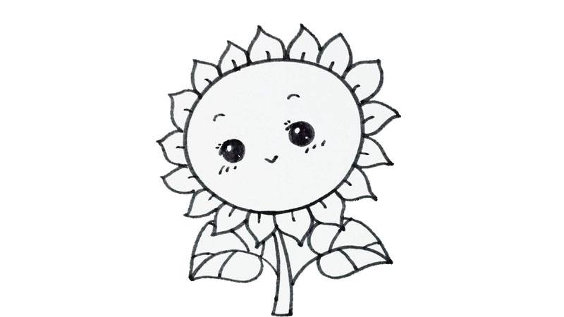 葵花朵朵简笔画六年级图片