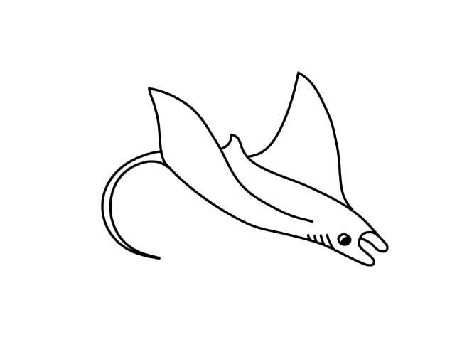 蝠鲼鱼简笔画图片