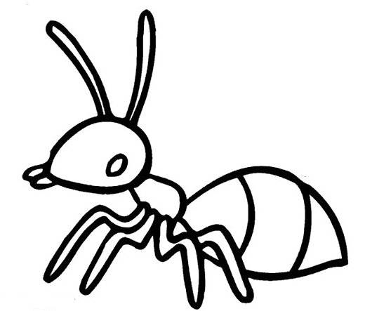 一只蚂蚁简笔画可爱图片