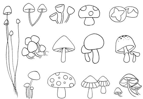 大蘑菇简笔画卡通画图片