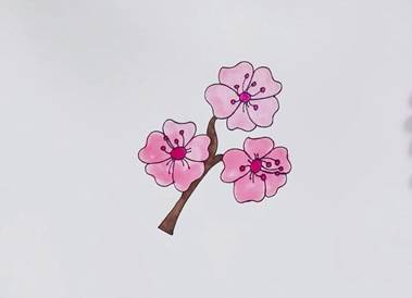 樱花树叶简笔画图片