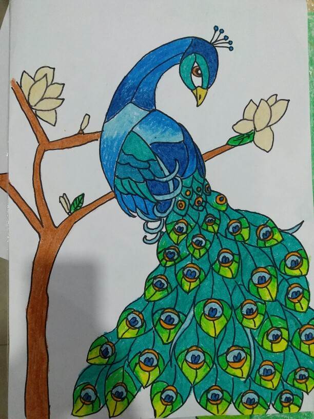 孔雀水彩画 儿童图片