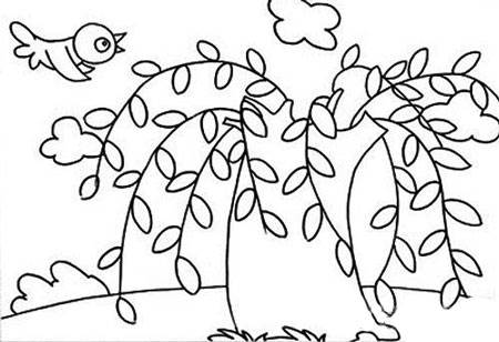 幼儿园简笔画柳树图片