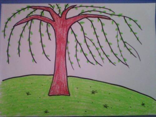 最简单的柳树儿童画 柳树儿童画图片大全