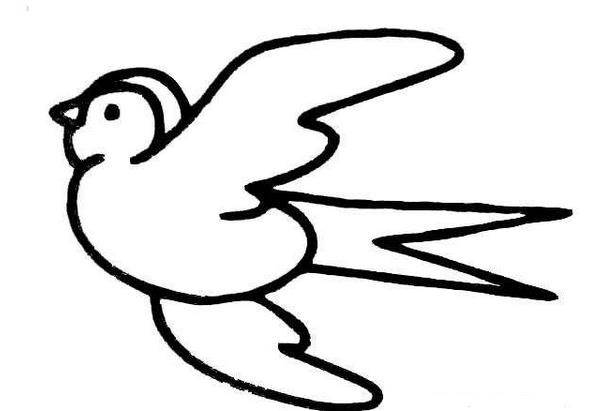 2022最新关于小鸟的画法小鸟画法简笔画图片