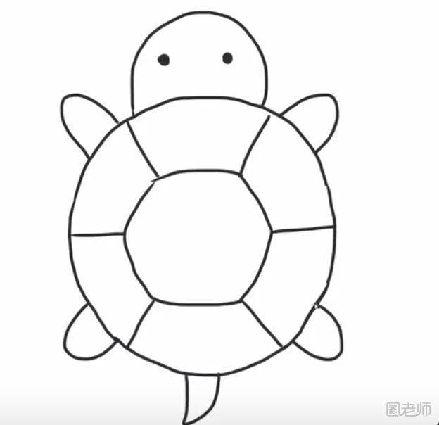 乌龟简笔画组图图片