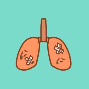 肺简笔画图片