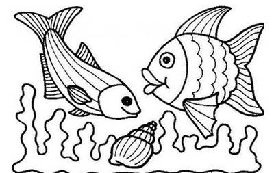 海里常见的鱼 简笔画图片