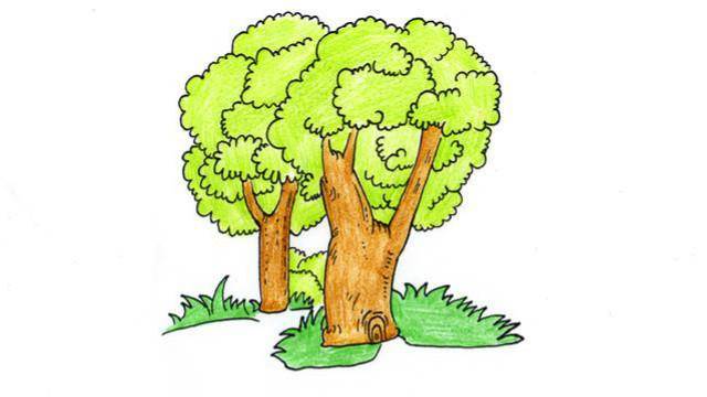 画树的简笔画怎么画树的方法