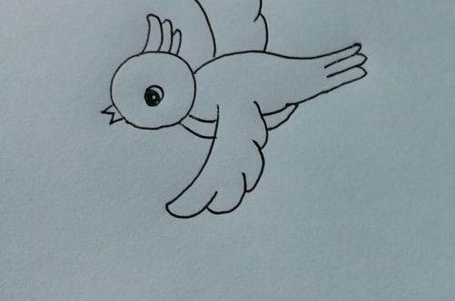 小鸟的简易画法图片