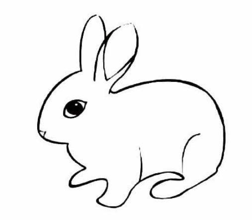 小白兔简易图图片