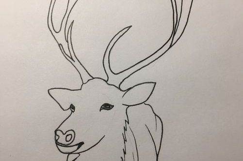 麋鹿的简笔画 麋鹿简笔画图片欣赏